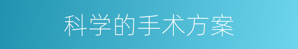 科学的手术方案的同义词