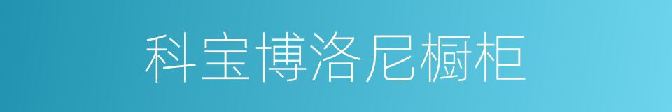科宝博洛尼橱柜的同义词