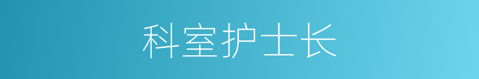 科室护士长的同义词