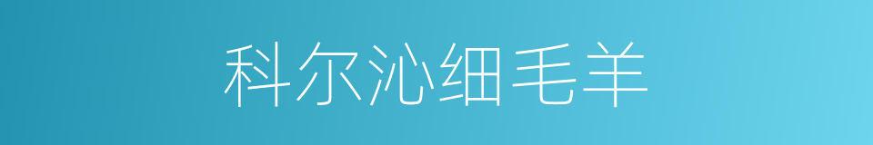 科尔沁细毛羊的同义词