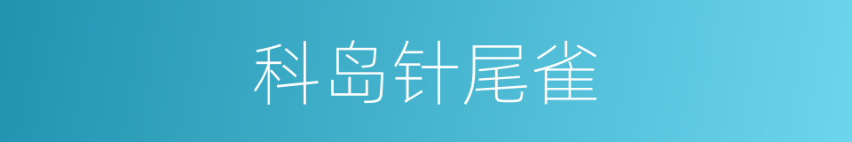 科岛针尾雀的同义词