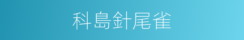 科島針尾雀的同義詞