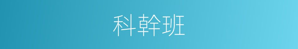 科幹班的同義詞