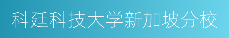 科廷科技大学新加坡分校的同义词