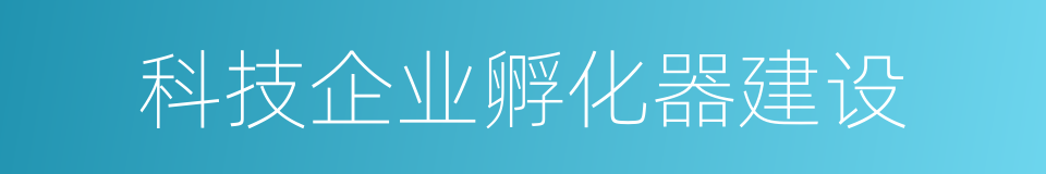 科技企业孵化器建设的同义词