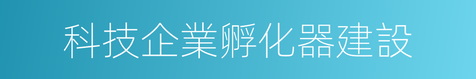 科技企業孵化器建設的同義詞