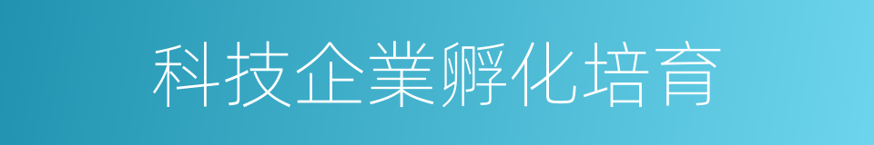 科技企業孵化培育的同義詞