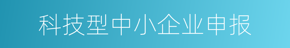 科技型中小企业申报的同义词