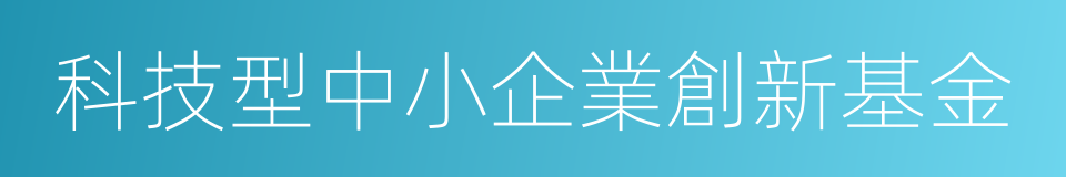 科技型中小企業創新基金的同義詞