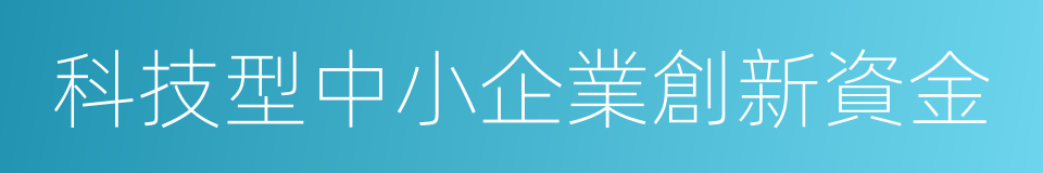 科技型中小企業創新資金的同義詞