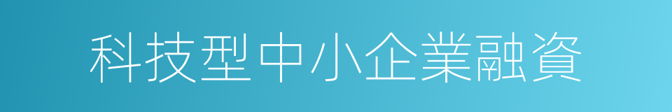 科技型中小企業融資的同義詞