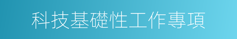 科技基礎性工作專項的同義詞