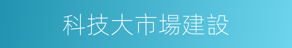 科技大市場建設的同義詞