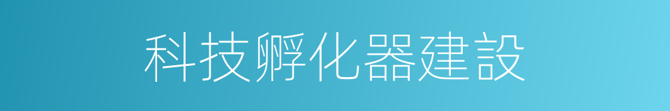 科技孵化器建設的同義詞