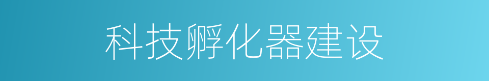 科技孵化器建设的同义词