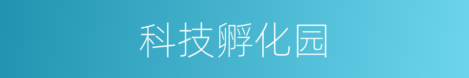 科技孵化园的同义词