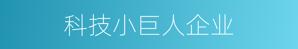 科技小巨人企业的同义词