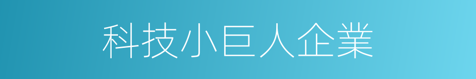 科技小巨人企業的同義詞