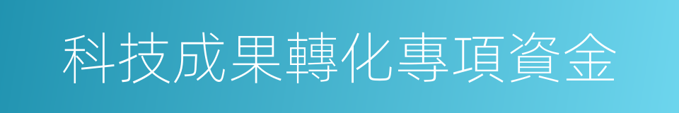 科技成果轉化專項資金的同義詞