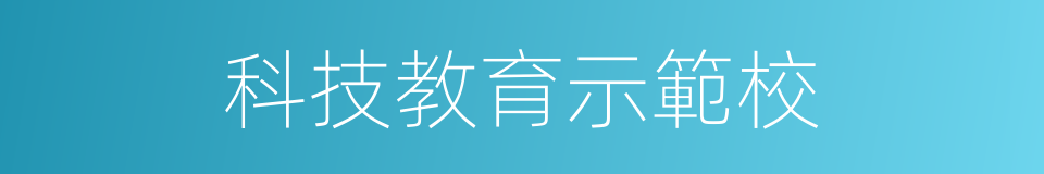 科技教育示範校的同義詞