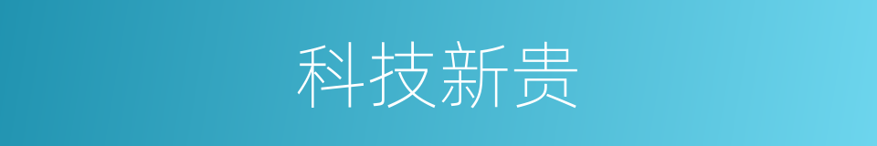 科技新贵的同义词