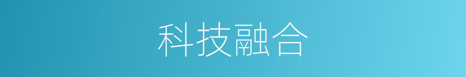 科技融合的同义词