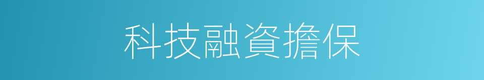 科技融資擔保的同義詞