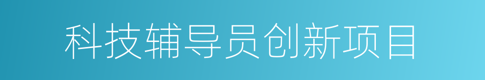 科技辅导员创新项目的同义词