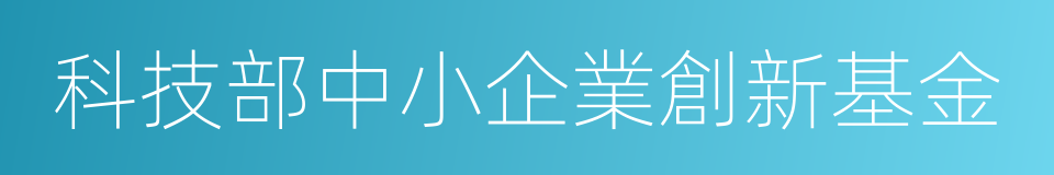 科技部中小企業創新基金的同義詞