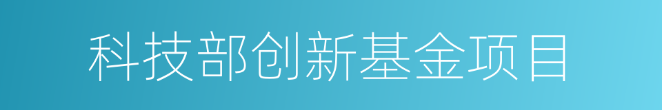 科技部创新基金项目的同义词