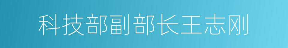 科技部副部长王志刚的同义词