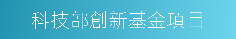 科技部創新基金項目的同義詞