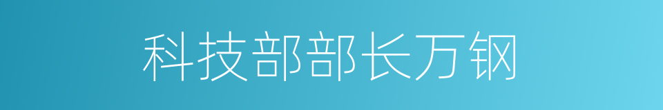 科技部部长万钢的同义词