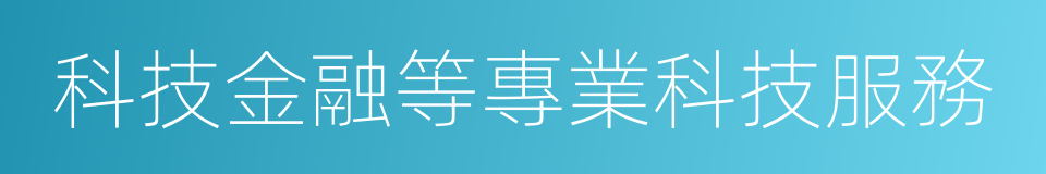 科技金融等專業科技服務的同義詞