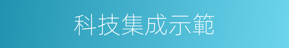 科技集成示範的同義詞