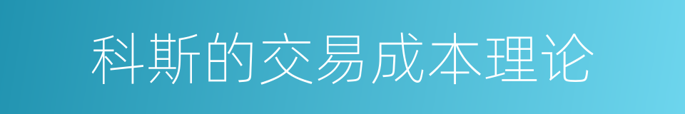 科斯的交易成本理论的同义词