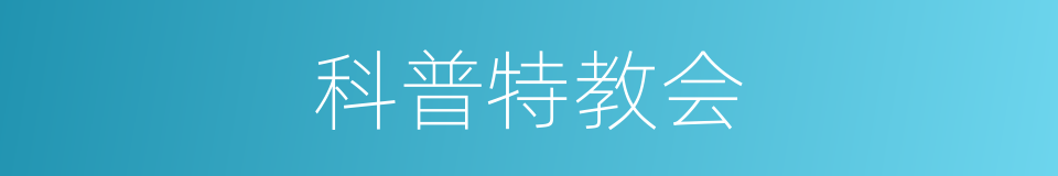科普特教会的同义词