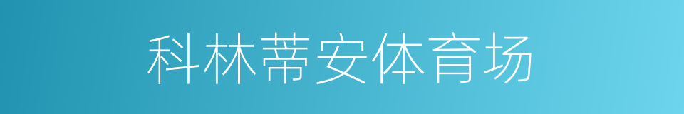 科林蒂安体育场的同义词