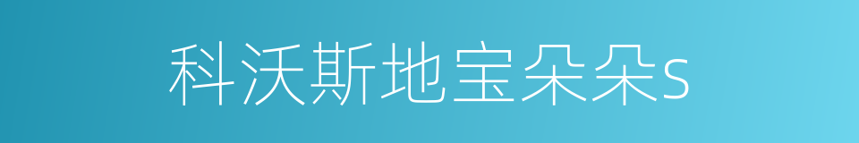 科沃斯地宝朵朵s的同义词