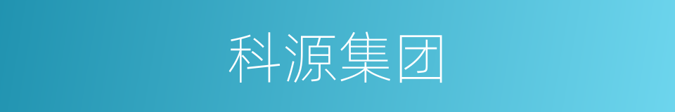科源集团的同义词