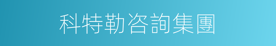 科特勒咨詢集團的同義詞