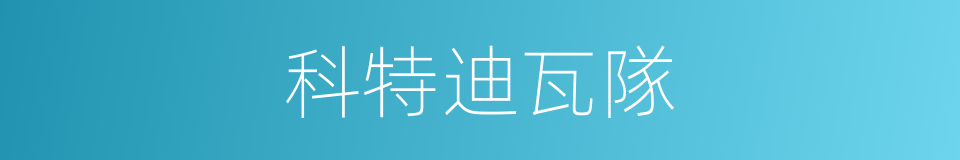 科特迪瓦隊的同義詞