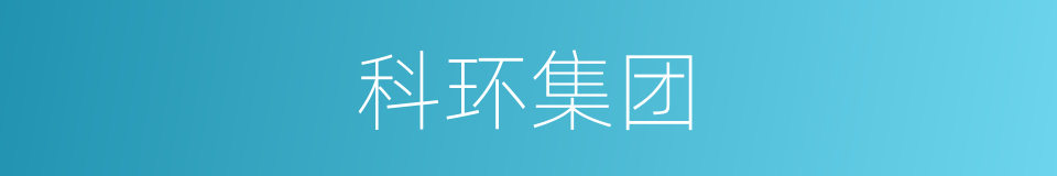 科环集团的同义词