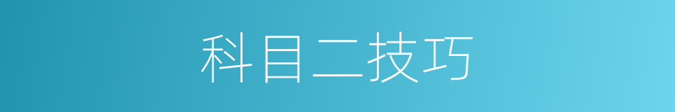科目二技巧的同义词