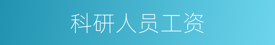 科研人员工资的同义词