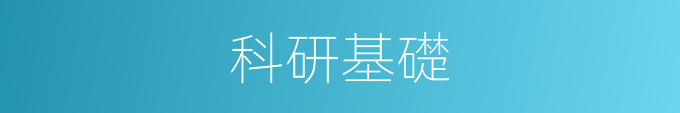 科研基礎的同義詞