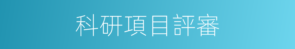 科研項目評審的同義詞