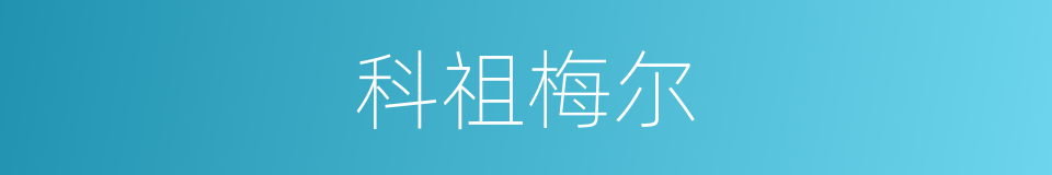 科祖梅尔的同义词