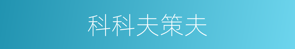 科科夫策夫的同义词