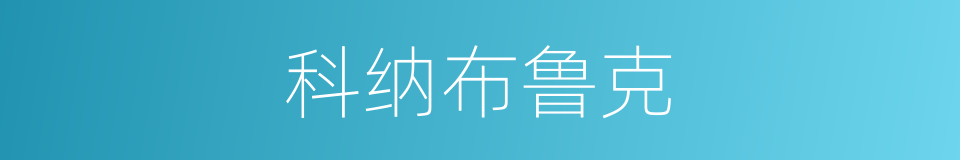 科纳布鲁克的同义词